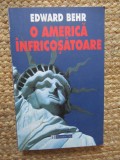O America infricosatoare - Edward Behr