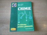 Ileana Neata, Raisa Cicu - Chimie. Probleme pentru gimnaziu