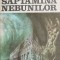 Saptamana nebunilor - Eugen Barbu