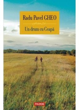 Un drum cu ceapa foto