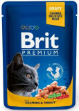 Cumpara ieftin Brit Premium Cat Plic, somon si pastrav, 100 g