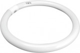 Tub Fluorescent Circular T5 32W