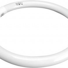 Tub Fluorescent Circular T5 32W