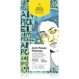 Salt House Natural Minerals Anti-pimple Patches plasturi pentru piele problematică impotriva acneei 30 buc