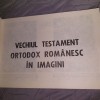 Biblia Ortodoxă Rom&acirc;nească &icirc;n Imagini: Vechiul și Noul Testament - Ilustrată