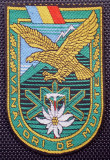 5.534 ROMANIA ARMATA ECUSON MILITAR PATCH VANATORI DE MUNTE