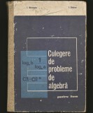Cumpara ieftin CULEGERE DE PROBLEME DE ALGEBRĂ PENTRU LICEU - I. STAMATE, I. STOIAN