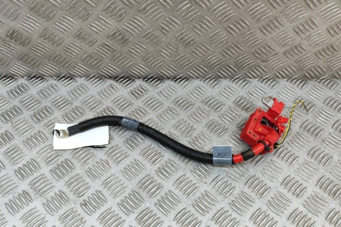 Cablu baterie pozitiv BMW X5 E70 2010 OEM: 9217004,9217003,9203570 24039753