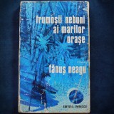 Cumpara ieftin FRUMOSII NEBUNI AI MARILOR ORASE - FANUS NEAGU - ROMAN