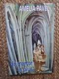 Un martor in plus - Amelia Pavel