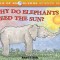 Why Do Elephants Need the Sun?