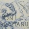 ANASTASIE IORDACHE - ION I. C. BRATIANU, 2007