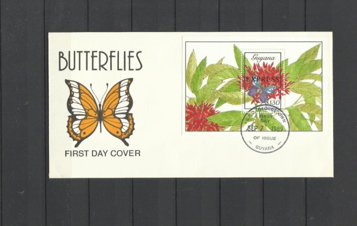 GUYANA 1989 FAUNA INSECTE FLUTRI SUPRATIPA EXPRESS FDC