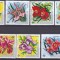 DB1 Flora Burundi 1972 Orhidee PA 7 v. MNH