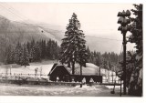 CPIB 16834 CARTE POSTALA - POIANA BRASOV. CABANA &quot;CAPRA NEAGRA&quot;, Necirculata, Fotografie