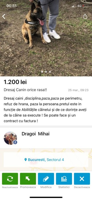 Dresaj Canin Dresaj Canin