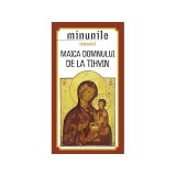 Minunile icoanei - Paperback brosat - *** - Sophia
