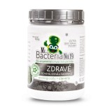 Activator Mr.Bacteria No.19 pentru seminte, osiva si rasaduri, 500 g
