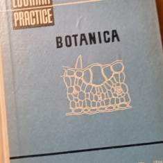 LUCRARI PRACTICE BOTANICA Irina Morlova