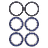 Cumpara ieftin Kit rulment roata Spate (cu etansanti) pentru CAN-AM DS 450 2008-2013