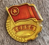QW9 N9 14 - Insigna - tematica comunism - steaguri si insemne nationale - China