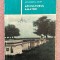 Apicultorul amator. Editura Ceres, 1990 - Alexandrina Adler