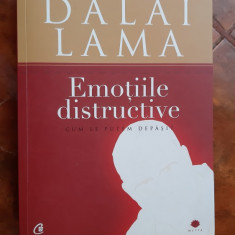 Dalai Lama – Emotiile distructive CUM LE PUTEM DEPASI