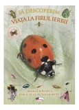 Să descoperim viața la firul ierbii. Observă și &icirc;nvață, joacă-te cu autocolante! - Paperback - *** - Aramis
