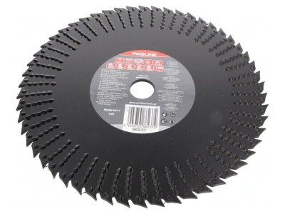Cutting Wheel 230mm with Rasp 22.23mm Hole foto