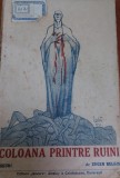 COLOANA PRINTRE RUINI EUGEN RELGIS
