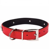 Zgarda ajustabila din piele rosie pentru caini 2.5 x 50CM, Oem