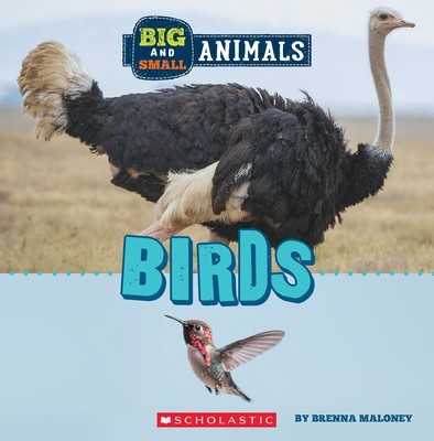 Big and Small: Birds (Wild World) foto