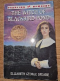 Elizabeth George Speare - The whitch of blackbird pond