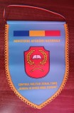 D9 21 - fanion - militar - aniversare 100 ani - Centrul militar zonal Timis - 2019