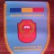 D9 21 - fanion - militar - aniversare 100 ani - Centrul militar zonal Timis - 2019