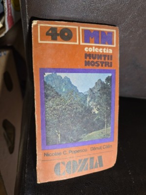 Cozia - Nicolae C. Popescu, Dănuț Călin foto