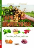 Legume din specii mai rare. Descriere, cultura, utilizare, M.A.S.T
