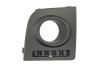 Grila ventilatie, bara protectie FORD FUSION (JU) (2002 - 2012) BLIC 6502-07-2576993P