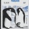 Taaf 2002 - Colonii franceze , Fauna , pasari , dantelat , MNH ,Mi.500