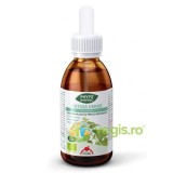 Extract de Urzica Verde Ecologic/Bio 50ml