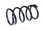 Arc Suspensie Fata 392368 73745