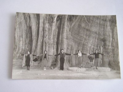 BVS - CARTI POSTALE MEXIC 6 foto