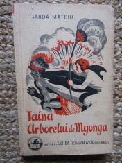 SANDA MATEIU - TAINA ARBORELUI DE MYONGA, EDITIE PRINCEPS 1935