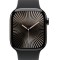 Apple Watch Series 10 GPS + Cellular 42mm Slate Titanium