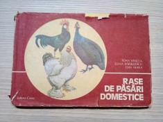 RASE DE PASARI DOMESTICE - Ioan Vancea - 1981, 175 p. cu planse color in text foto
