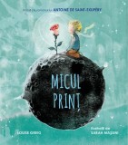 Micul Print. Bazat pe romanul lui Antoine de Saint-Exupery - Louise Greig - Editura Editura Sofiami
