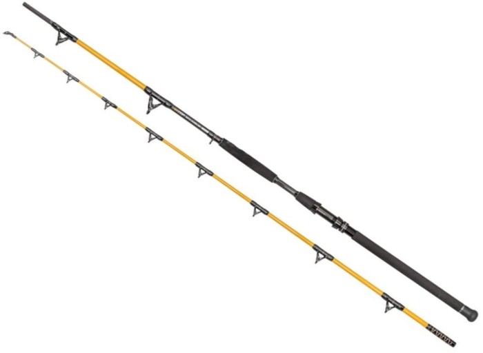 Lanseta Predator-Z Brutal Catfish, 850g, 3.00m, 2seg