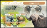 Timbre Burkina Faso 2022 Fauna Africana: Bivoli Salbatici, Colita - Colectie, Timbru Straine Dupa 1950