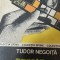 Parola nu era completa Tudor Negoita