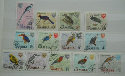 GAMBIA SERIE PASARI foto